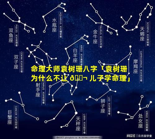 命理大师袁树珊八字「袁树珊为什么不让 🐬 儿子学命理」